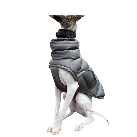 Dog clothing thickened warm waterproof windproof two leg coat pet vest cotton coat eprolo