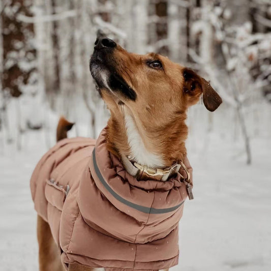 Dog clothing thickened warm waterproof windproof two leg coat pet vest cotton coat eprolo