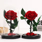 Christmas Valentine's Day Creative Gift Gift for Girlfriend Glass Cover Eternal Flower Gift Box Eternal Rose Gift Ornament eprolo