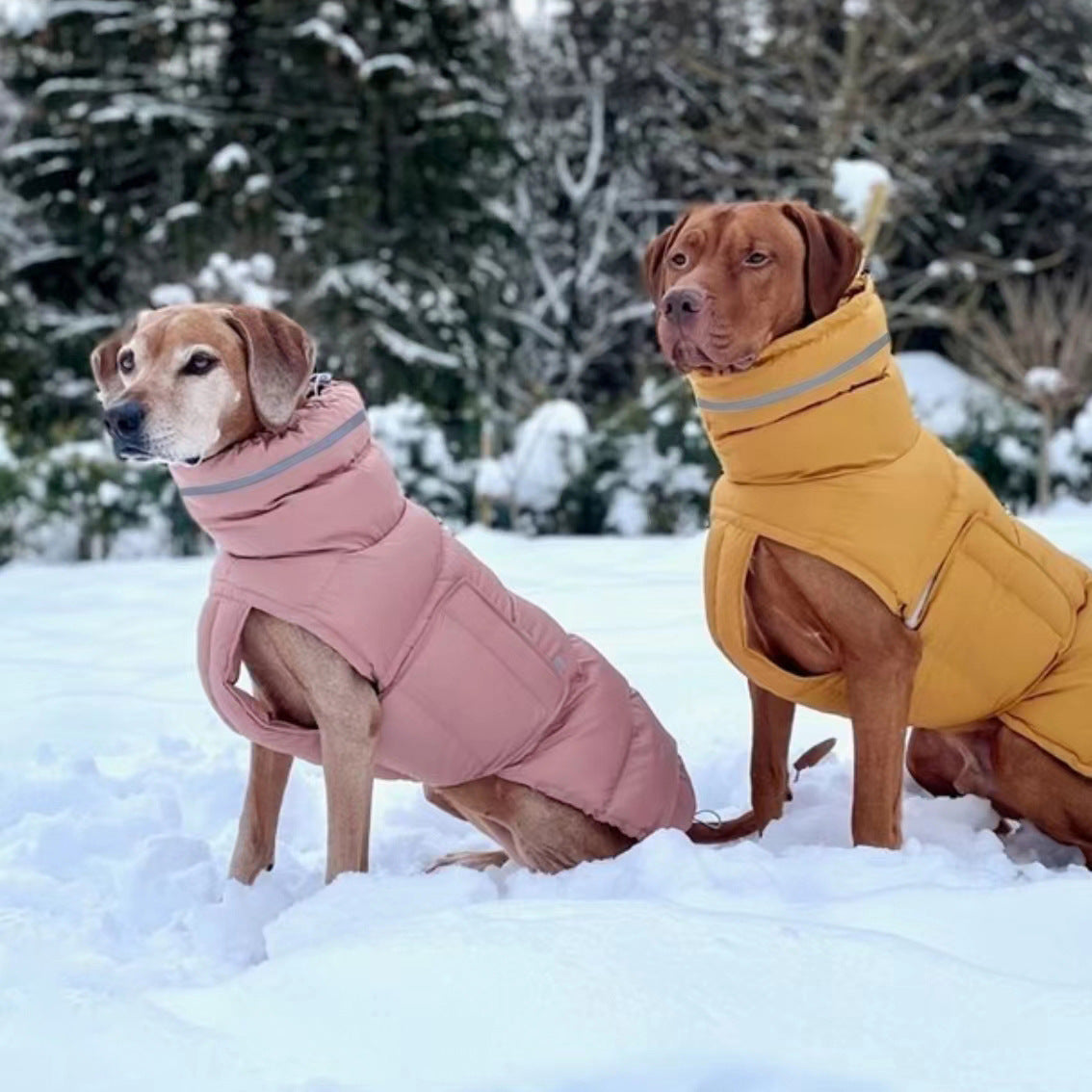 Dog clothing thickened warm waterproof windproof two leg coat pet vest cotton coat eprolo