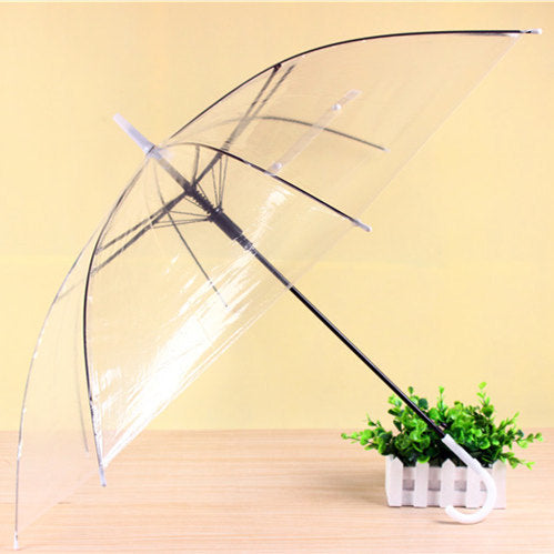 Korea transparent umbrella dance performance long handle umbrella fashion creative advertising umbrella spot supply alfredo.barrella7