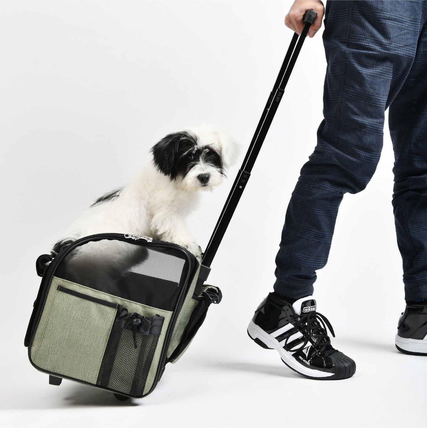 Pet Trolley Backpack Portable Case alfamoba