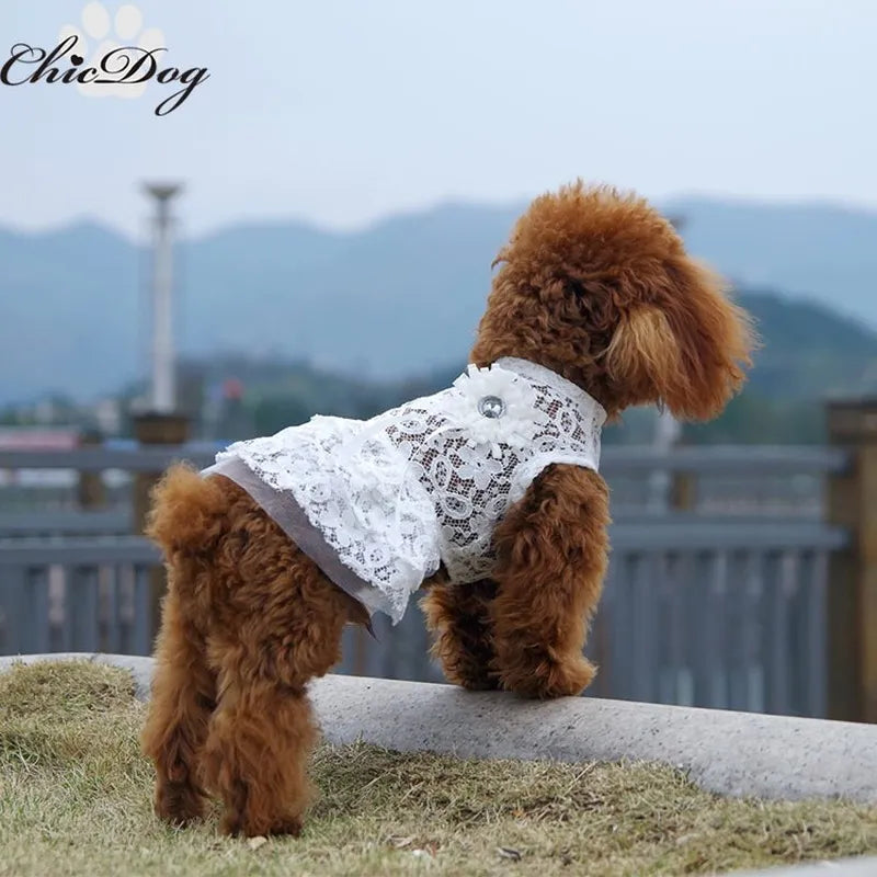 Solid Color Lace Dog Clothes Large Flower Princess Dress for Dogs Two-legged Cute Fashion Puppy Teddy Clothing Pink Girl Ropa alfamoba