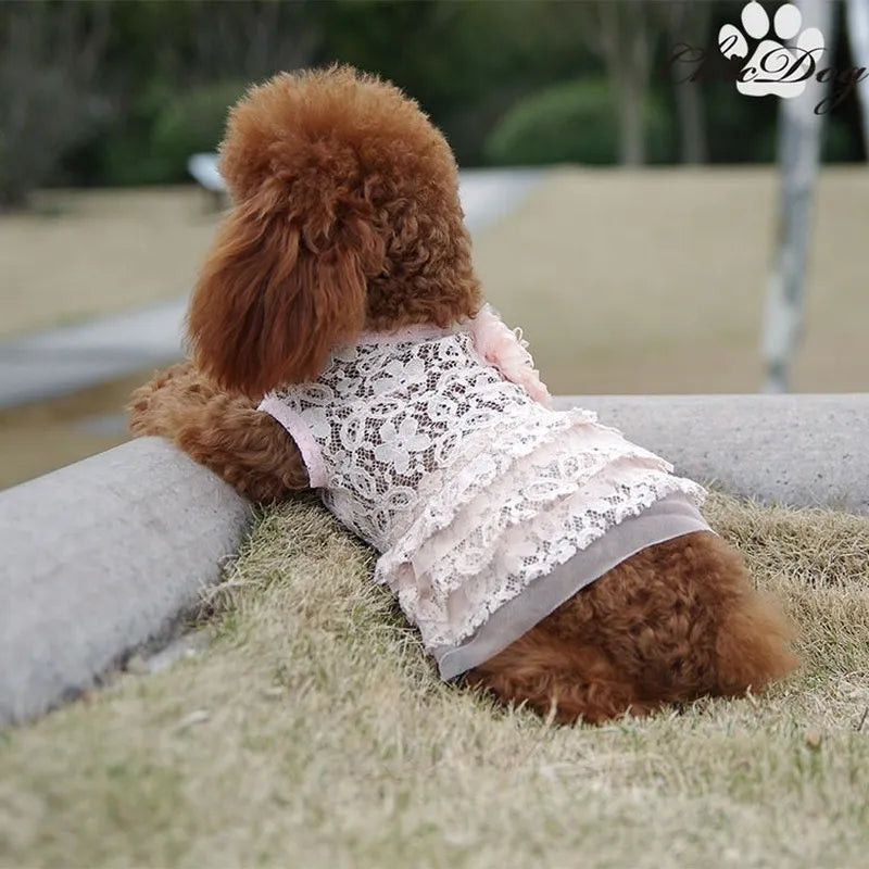 Solid Color Lace Dog Clothes Large Flower Princess Dress for Dogs Two-legged Cute Fashion Puppy Teddy Clothing Pink Girl Ropa alfamoba