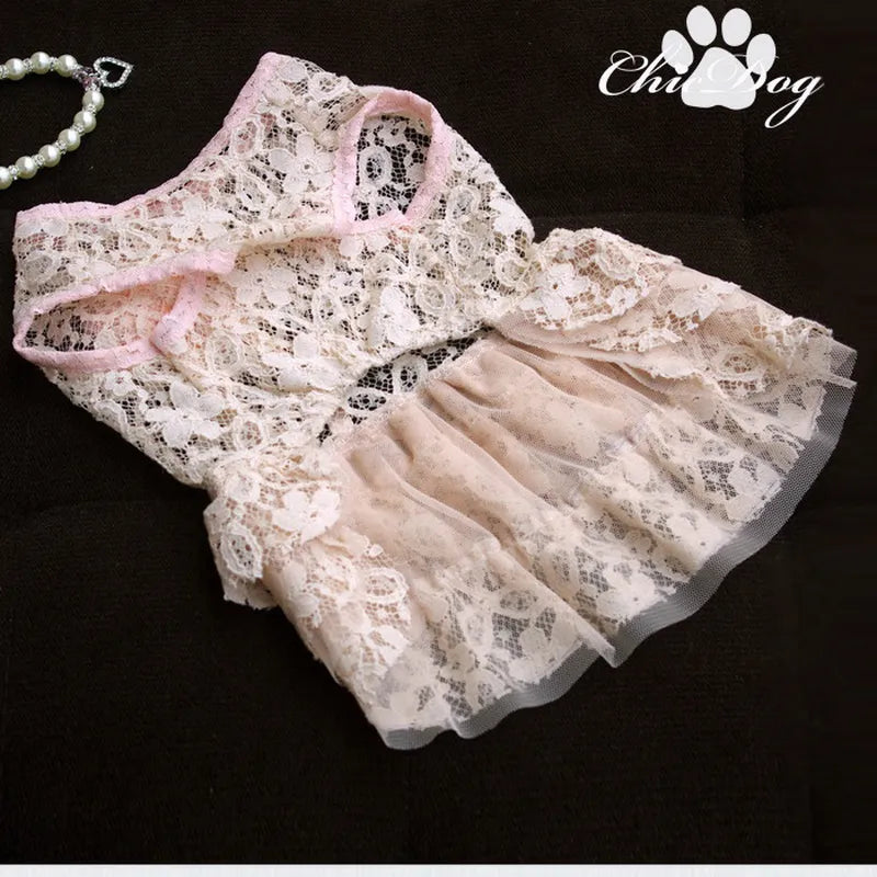 Solid Color Lace Dog Clothes Large Flower Princess Dress for Dogs Two-legged Cute Fashion Puppy Teddy Clothing Pink Girl Ropa alfamoba